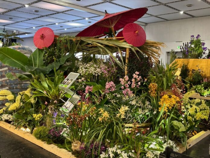 Stand der Herrenhäuser Gärten auf der Welt-Orchideen-Konferenz