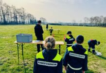 Kinderfeuerwehr Wunstorf: 19 Kinder bestehen Brandfloh-Prüfung Kinderfeuerwehr legt „Brandfloh“ ab