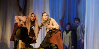 theater für niedersachsen: „Die unnützen Mäuler“
