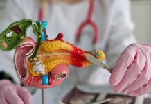 Medizin verstehen und mitentscheiden: Patientenuniversität der MHH startet ins Frühjahr 2026 Patientenuniversität der MHH