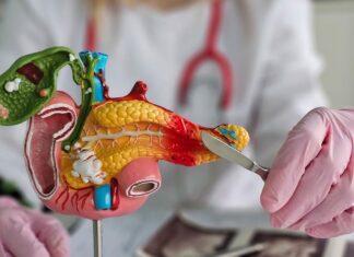 Medizin verstehen und mitentscheiden: Patientenuniversität der MHH startet ins Frühjahr 2026 Patientenuniversität der MHH