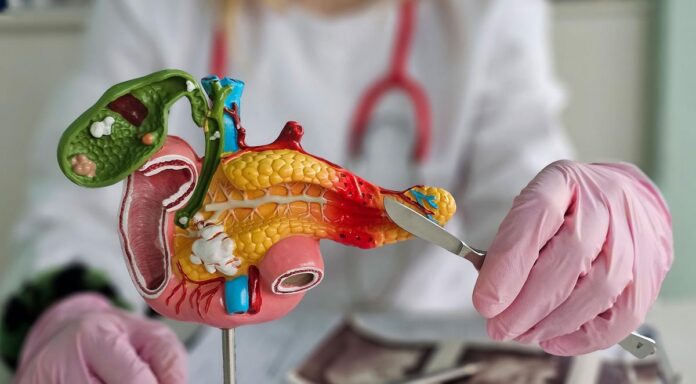 Patientenuniversität der MHH Patientenuniversität der MHH