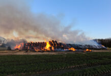 Großbrand in Langenhagen-Godshorn: Über 600 Strohballen zerstört – Polizei ermittelt wegen Brandstiftung Strohballenbrand / Godshorn /