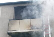 Hannover: Verletzte Katze nach Balkonbrand Verletzte Katze nach Feuer auf einem Balkon gerettet.