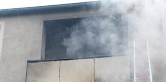 Verletzte Katze nach Feuer auf einem Balkon gerettet.