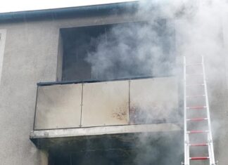 verletzte katze nach feuer auf einem balkon gerettet.