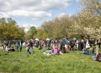 themenfoto: kirschblütenfest am hiroshima hain in hannover (archivbild 2024).