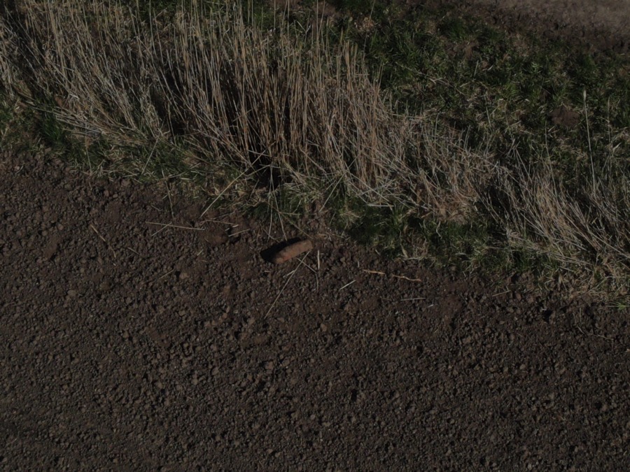 phosphorbombenfund in stelingen.