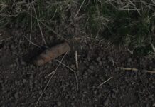 Phosphorbombe am Feldrand in Stelingen entdeckt Phosphorbombenfund in Stelingen.