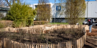 Deutsche Messe AG pflanzt Mikrowald auf dem Messegelände Hannover