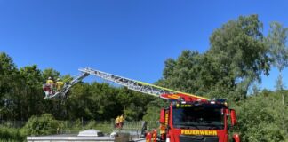 Mit Hilfe der Drehleiter wurden die Tierretter in das Becken abgelassen