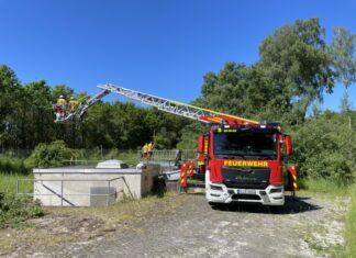 Lehrte: Zwei weitere Feuerwehreinsätze nach Großbrand am Pfingstmontag Mit Hilfe der Drehleiter wurden die Tierretter in das Becken abgelassen