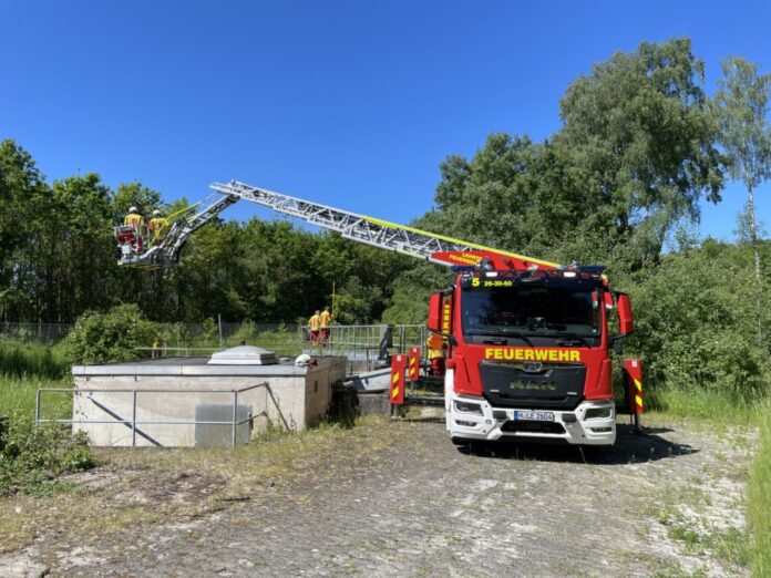 Mit Hilfe der Drehleiter wurden die Tierretter in das Becken abgelassen Mit Hilfe der Drehleiter wurden die Tierretter in das Becken abgelassen