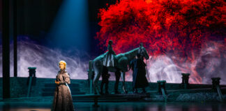Der Schimmelreiter - Das Mystery Musical