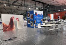 TiHo zeigt Tiermedizin zum Anfassen auf IdeenExpo 2026 Die TiHo auf der IdeenExpo 2026