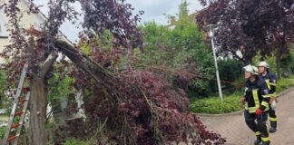 Celle: Wetterbedingte Einsätze am Donnerstag