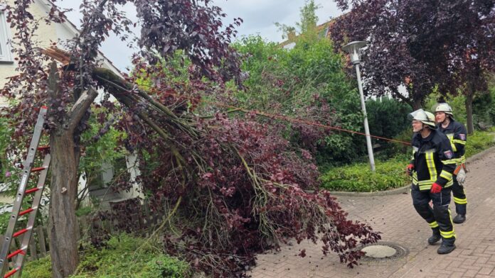 Celle: Wetterbedingte Einsätze am Donnerstag
