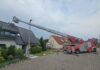 vier waschbären aus schornstein in celle gerettet.
