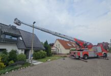 Vier Waschbären aus Schornstein in Celle gerettet Vier Waschbären aus Schornstein in Celle gerettet.