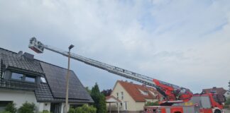 Vier Waschbären aus Schornstein in Celle gerettet.