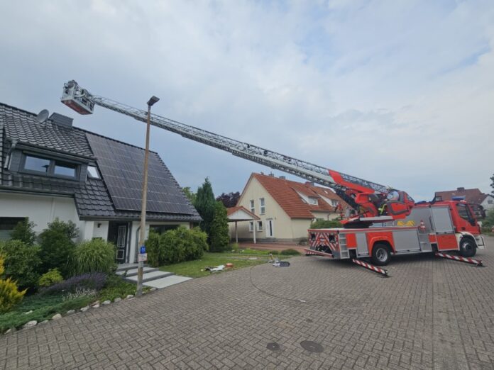 Tierrettung Vier Waschbären aus Schornstein in Celle gerettet.