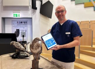 TiHo Hannover startet KI-App „Wildtier SOS“ für Erste Hilfe Prof Dr Michael Pees stellt die App Wildtier SOS vor.