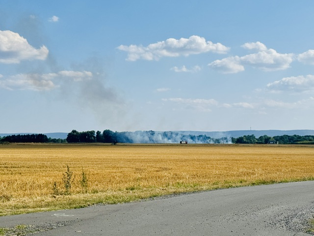 flächenbrände in der region hannover: feuerwehren verhindern größere ausbreitung flächenbrand zwischen kolenfeld und wunstorf