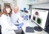 Wollen 3D-Organoide in einem mehrschichtigen Elektrodennetz integrieren, um Herzsicherheit von Medikamenten besser vorauszusagen: Dr. Lika Drakhlis und Prof. Dr. Robert Zweigerdt.