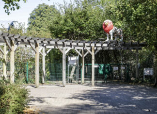 familienfest zum doppeljubiläum beim drk in langenhagen eingangsbereich drk-kita „eentje-rummert“ in langenhagen.