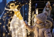 ZooLights: Magische Lichterwelten im Erlebnis-Zoo Hannover ZooLights: Magische Lichterwelten im Zoo