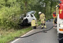Tödlicher Unfall in Lehrte: Auto prallt gegen Baum Lehrte: PKW-Fahrer überlebt Kollision mit Baum nicht
