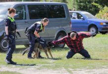 Themenfoto: Polizeihund im Einsatz