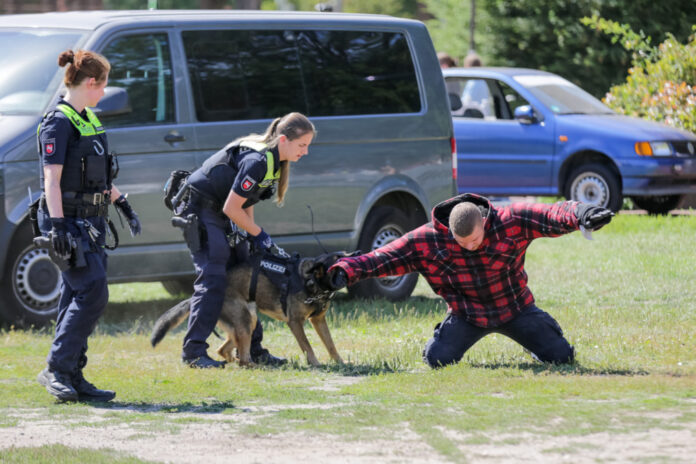 Themenfoto: Polizeihund im Einsatz