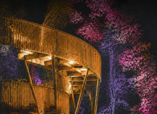 laga lichter: drei abende im kurpark bad nenndorf themenbild: laga lichter - waldtempel illuminiert. - ki-generiert