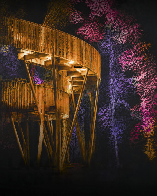 LaGa Lichter - Waldtempel illuminiert (KI generiert) Themenbild: LaGa Lichter - Waldtempel illuminiert. - KI-generiert